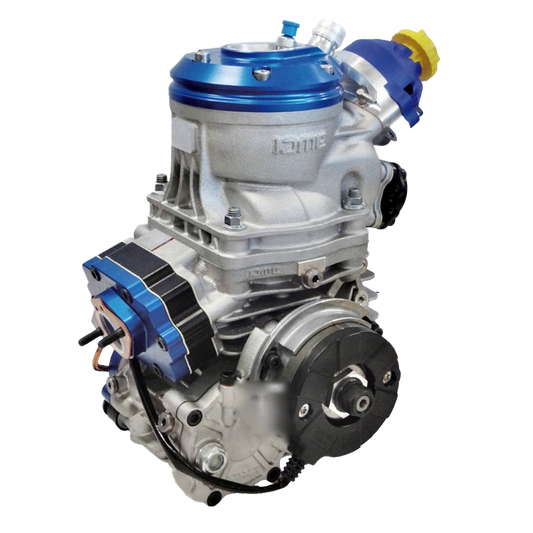 IAME REEDSTER　V OK